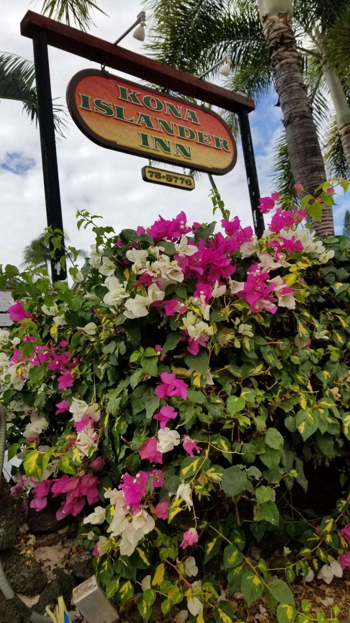 Downtown Hawaiian Theme Condo With Hot Tub, Pool & Beach - Kona Islander Inn Kailua-Kona Ngoại thất bức ảnh